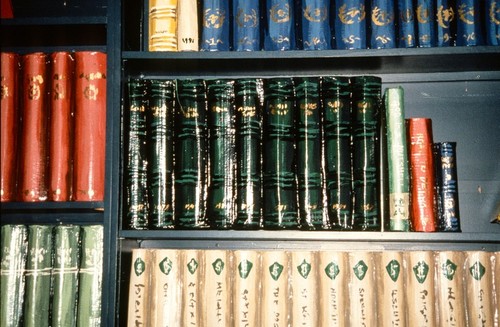 A Lesson in Civics: detail of "books" on bookshelf