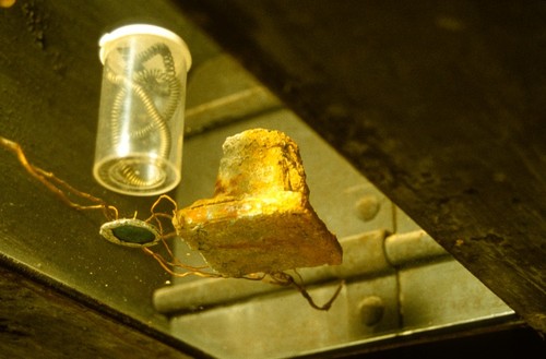 Disposition: view of found objects from below glass shelf