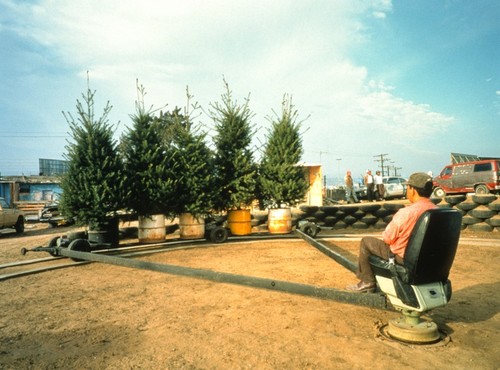 23 September 1994: general view