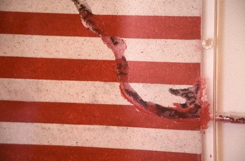 America: detail of ants removing sand from U.S. "flag"