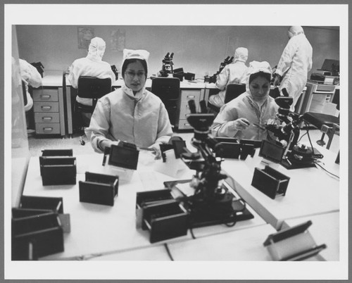 Early Bunnysuits, 1973