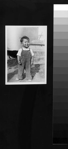 Japanese American boy