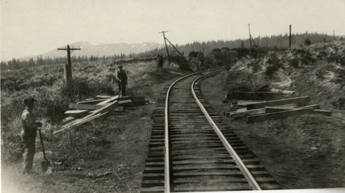 McCloud River Railroad CO. Tracks
