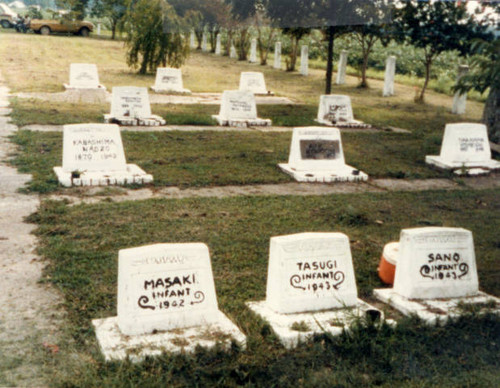 Rohwer memorial cemetery headstones for infants