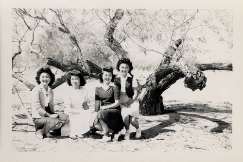 Four women sitting on tree branch at Poston Relocation Center