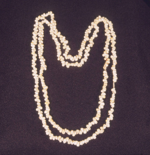 White shell necklace