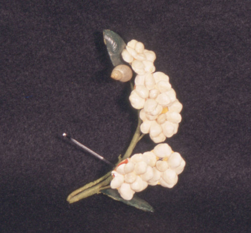 White shell corsage pin
