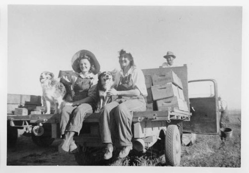 Miss Blue and Mrs. Gladys Prentice seated on back of truck with dogs