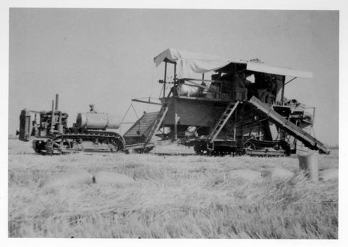 Rice harvesting in Butte County