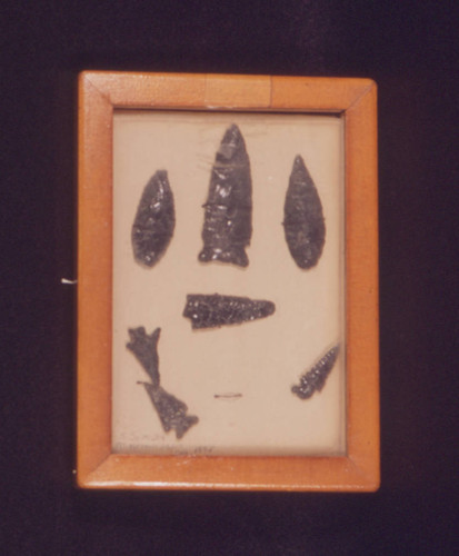 Arrowheads framed in wooden box