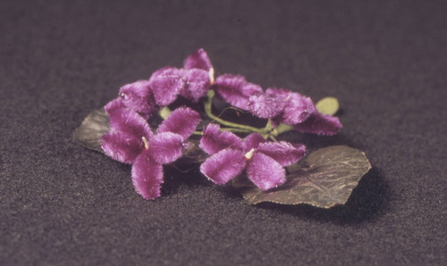 Purple violet corsage pin