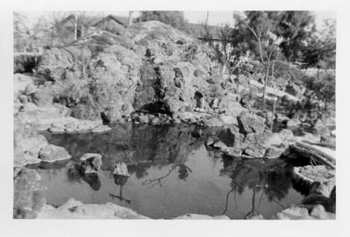 Closeup of pond in Japanese garden at Poston Relocation Center