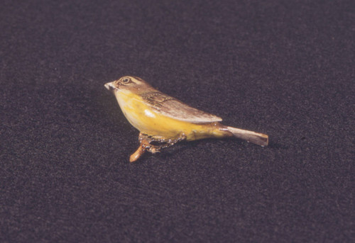 Wooden yellow breasted bird pin