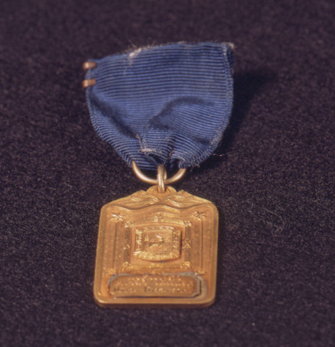 Elk Grove High School medal and ribbon pin