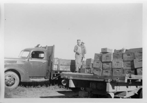 Two men standing on bed of truck with crates