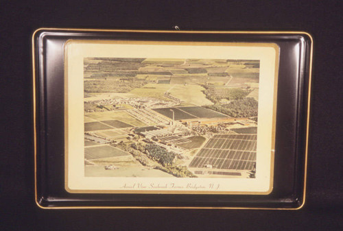 Metal tray with aerial view of Seabrook Farms, New Jersey