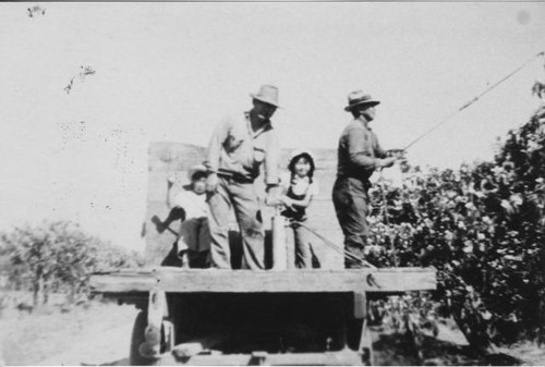 Kuzu Tsukamoto family spraying fruit trees