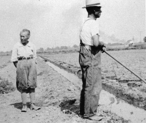 Choji and Matsuye Kawada on celery farm in West Sacramento