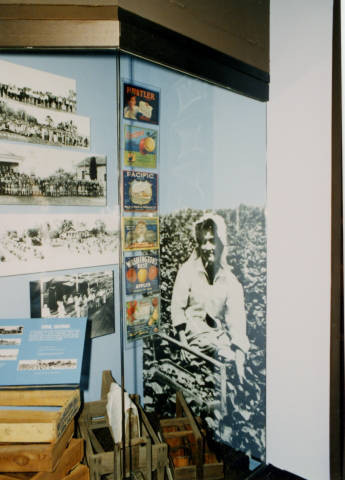 Florin area exhibit on farming at the "A More Perfect Union: Japanese Americans and the United States Constitution" exhibit at the Smithsonian