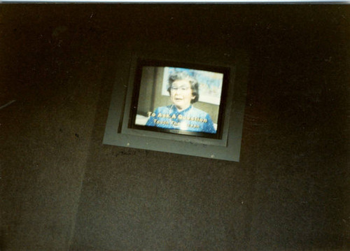 Mary Tsukamoto as talking head at Smithsonian Museum, Washingon, D.C