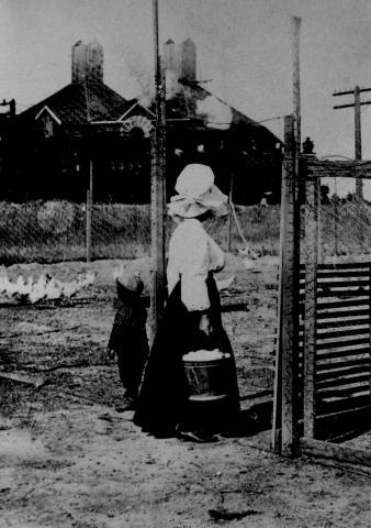 Mitsuye Kawada and son, Nagamitsu, gathering eggs at farm