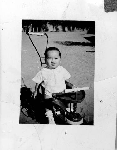 Little boy in tricycle/stroller at Granada Relocation Center