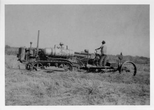 Rice harvesting in Nelson, California