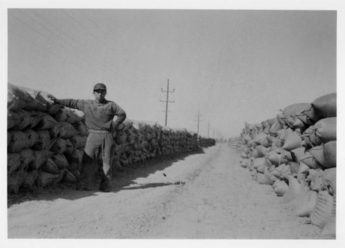 Juichi "Jay" Ikuta with harvested rice crop