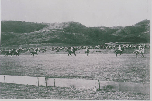 Polo game at Will Rogers Ranch, Rustic Canyon, Calif