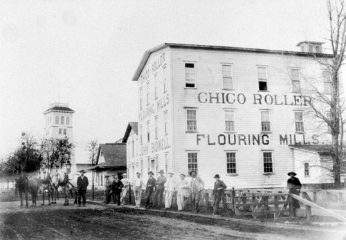 Chico Roller Flouring Mills