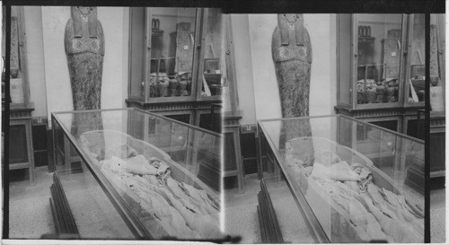 Mummies in Museum, Cairo, Egypt