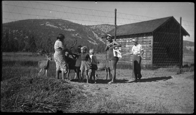 Women and children feeding deer through fence