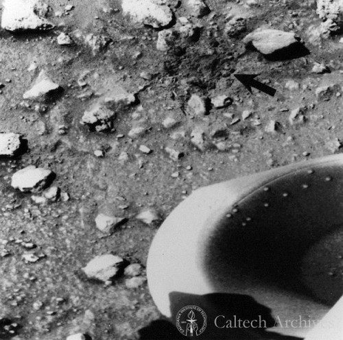 Dark material is debris kicked up by impact of a protective cover ejected from Viking Lander 1