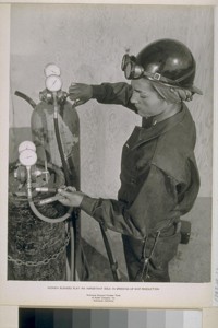Women employees performing various jobs