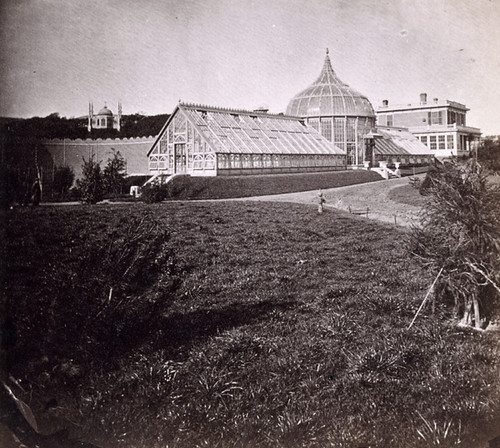 420. Residence of R. B. Woodward, San Francisco--The Conservatory