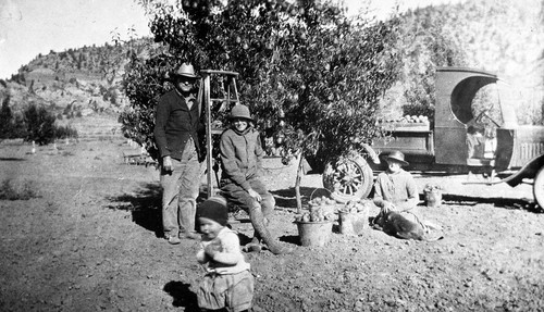 Picking Peaches