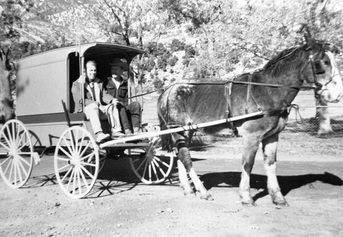 Horse and Carriage