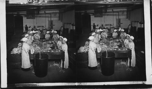 Sorting and Salvage Tables in Rag Room, Paper Factory, Bangor, Maine