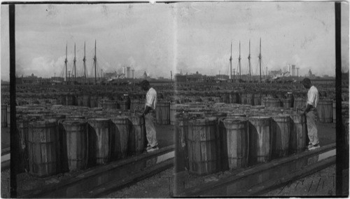 Rosin on the docks, Savannah. GA