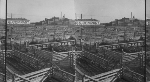 Looking East to Fort Worth Stockyards and Swift Packing House, Fort Worth, Texas. This taken further than 48753 & 48754 (correction)