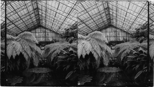 Douglas Park Conservatory & Green Houses, Chicago, Ill