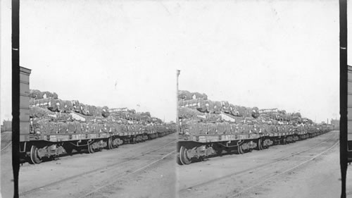 Shipping cotton from the growing district; the manufacturing center. Texas