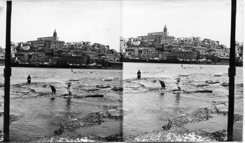 Jaffa from the sea, Palestine