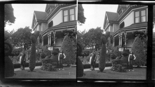 Topiary Garden. Pendray's Gardens, Victoria, B.C