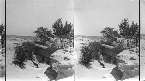 Petrified Log Bridge, Petrified Forest, national Monument, Arizona. Shows new concrete support beneath log as if was cracking