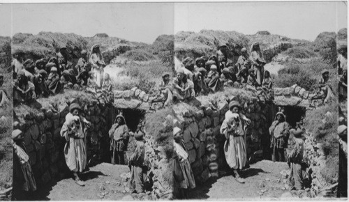 Fellakeen life, Palestine, Returning to the fold with the strayed lamb. Palestine