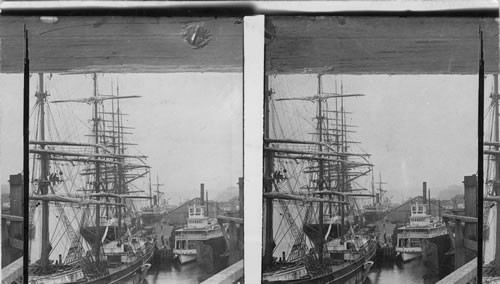 Harbor Crowded with Shipping, Tacoma, Washington