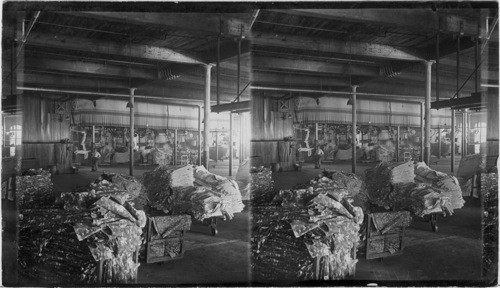 Lawrence, Mass. [Shows sheets of cotton cloth stacked.]