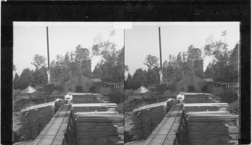 Sawmill in Allegheny Mts