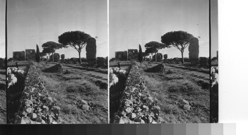 Along the Appian way looking so. to Veneral Tombs. Rome, Italy